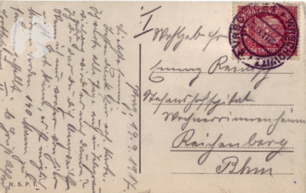 Václavské náměstí 1917 95 004 ●